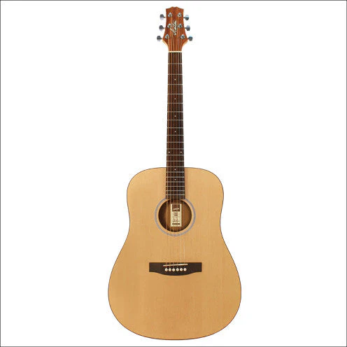 Ashton D20 Acoustic Guitar