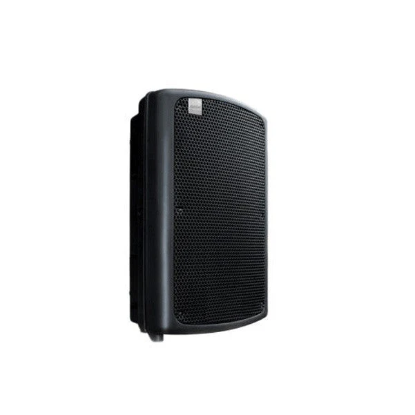 Ashton MAS15 Passive Speaker 15