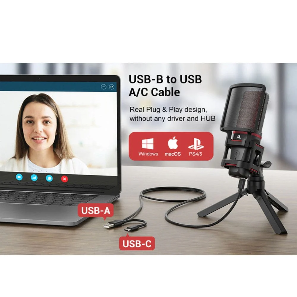 Audio Array AM-C6 USB Condenser Microphone Kit - Image 3