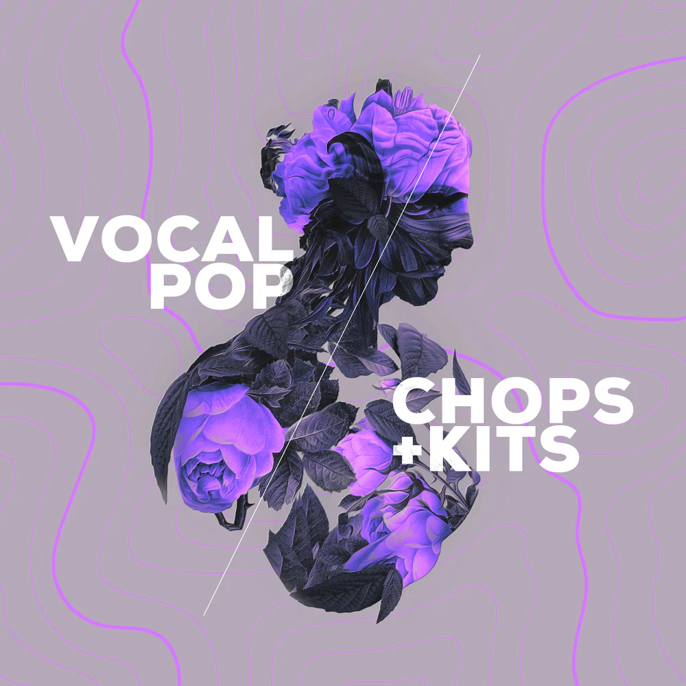 Audiomodern Vocal Pop Loopmix Expansion – Professional Audio Software & Plugin - Image 2