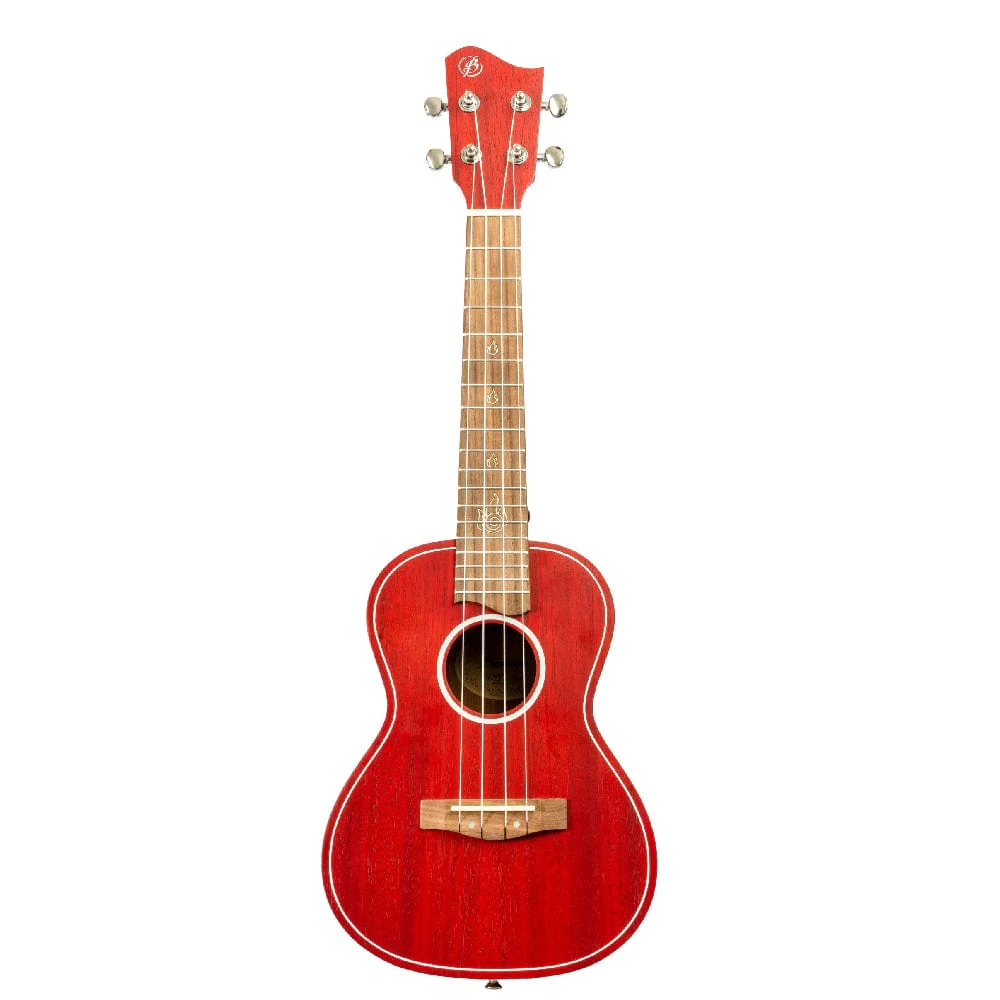 Bamboo Special Edition Series Elements Line Concert Ukulele with Gig Bag - Image 12