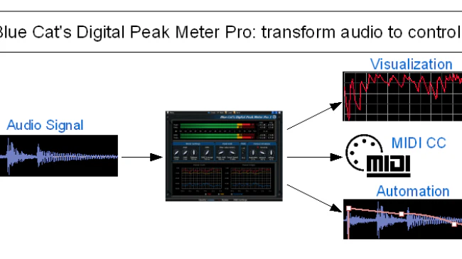 Blue Cat DP Meter Pro Peak Meter – Professional Audio Software & Plugin - Image 4