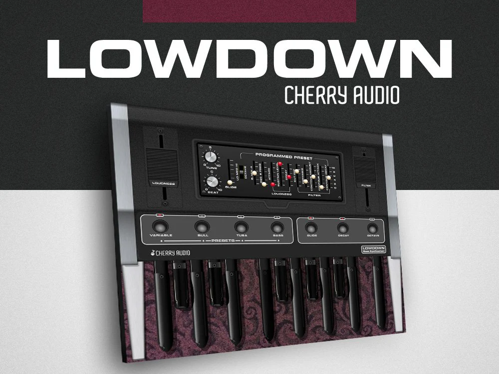 Cherry Audio Lowdown Bass Synthesizer โ Professional Audio Software & Plugin - Image 2