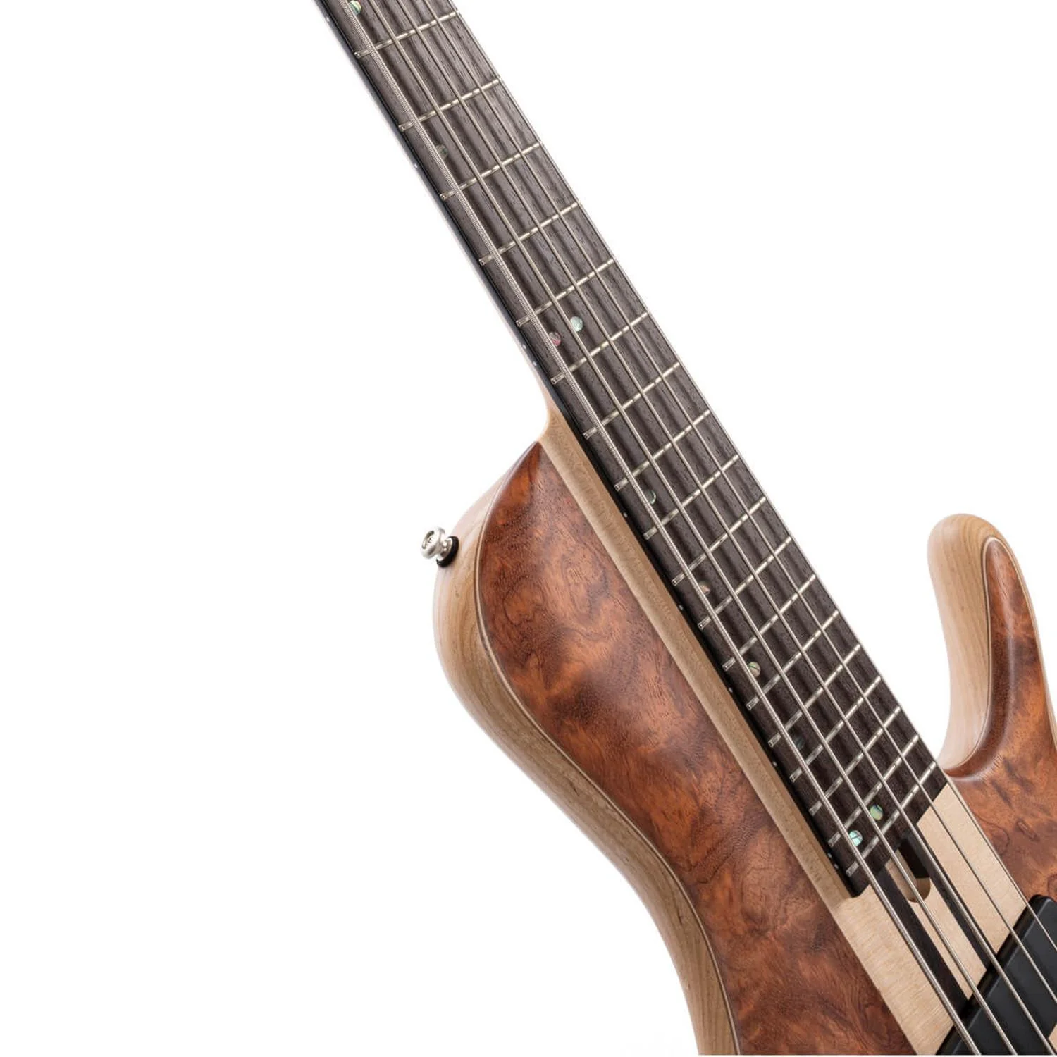 Cort A5 Beyond 5 String Bass Guitar with Case - Image 2