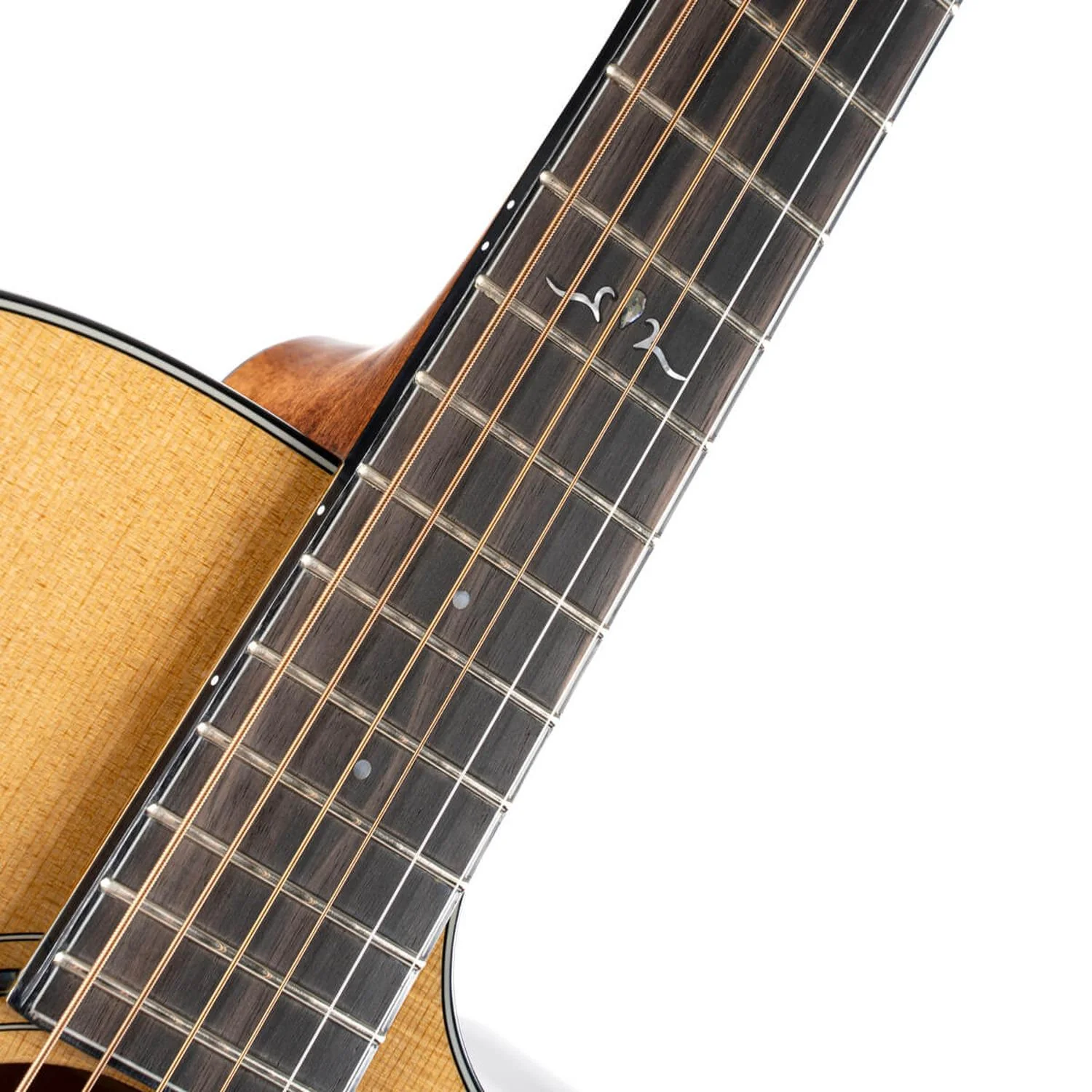 Cort GOLD-A6 Electro Acoustic Guitar with Case - Image 10