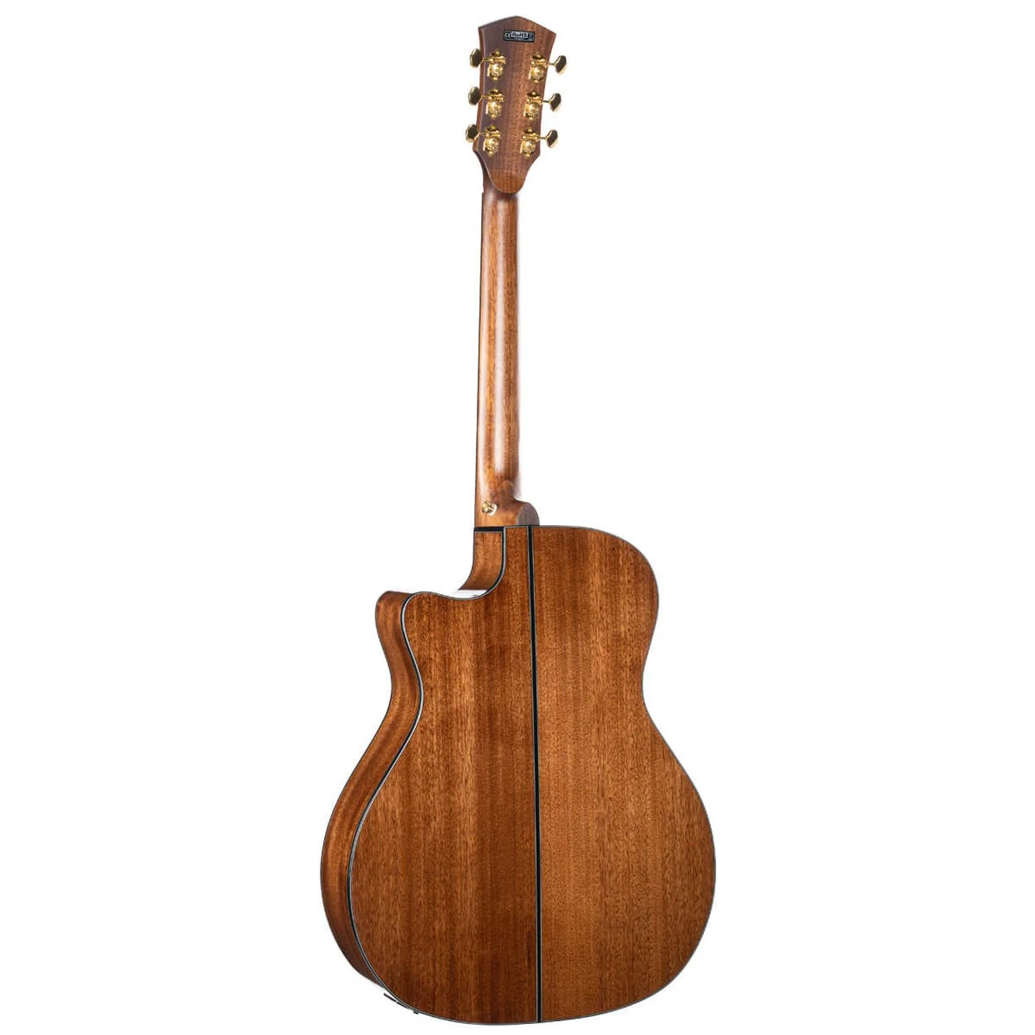 Cort GOLD-A6 Electro Acoustic Guitar with Case - Image 4