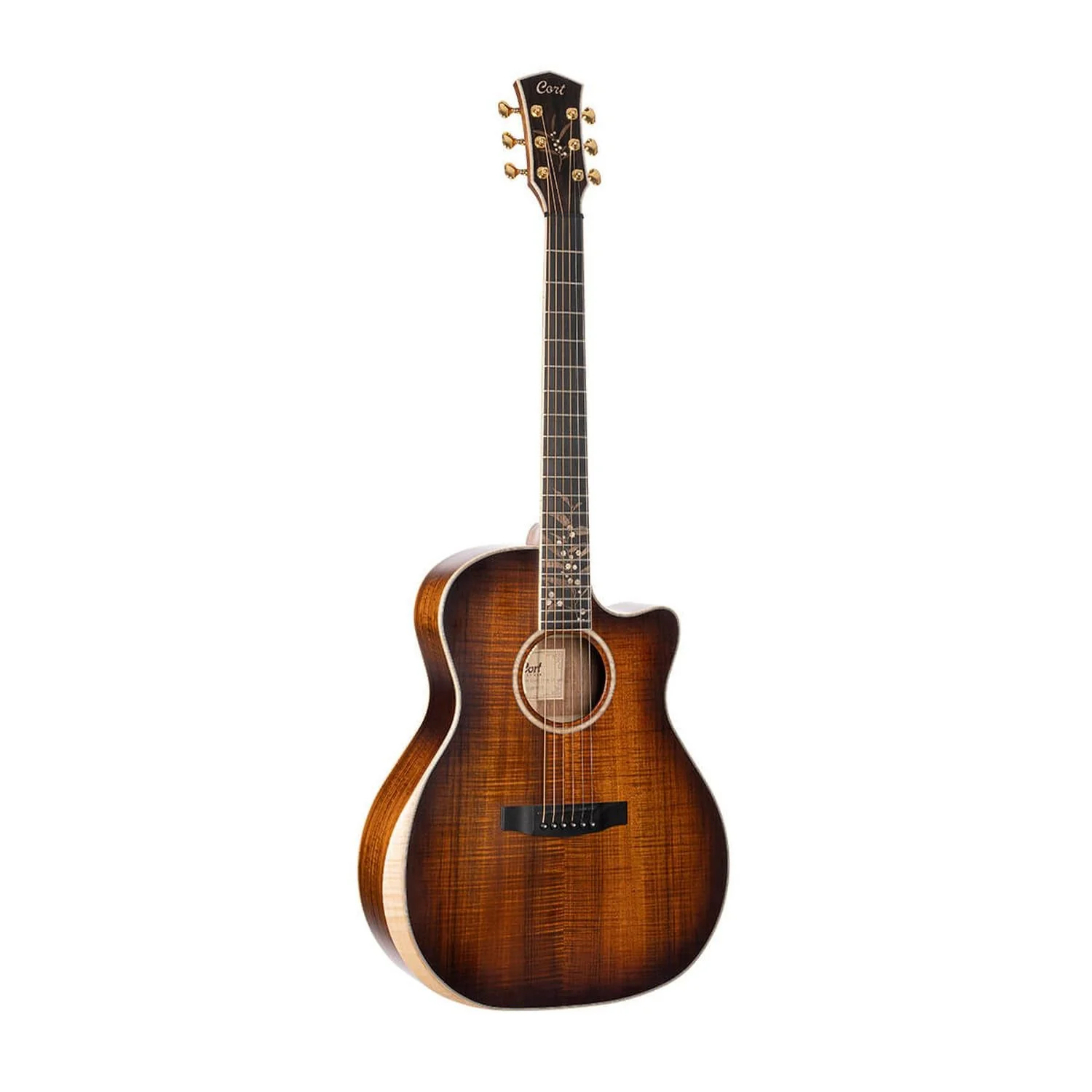 Cort The Black Tree Limited Edition Electro Acoustic Guitar