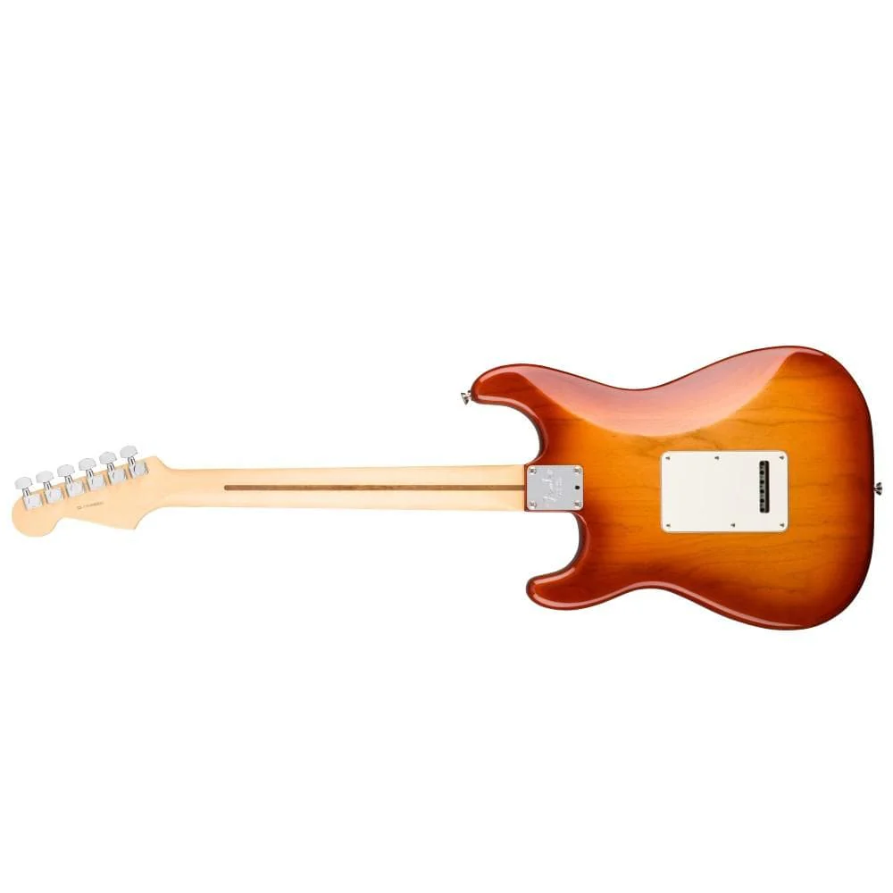 Fender American Professional Stratocaster Electric Guitar - Rosewood - Image 2