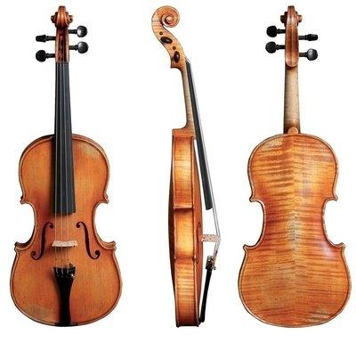 Gewa Aspirante Violin Dresden 4/4 - Image 4