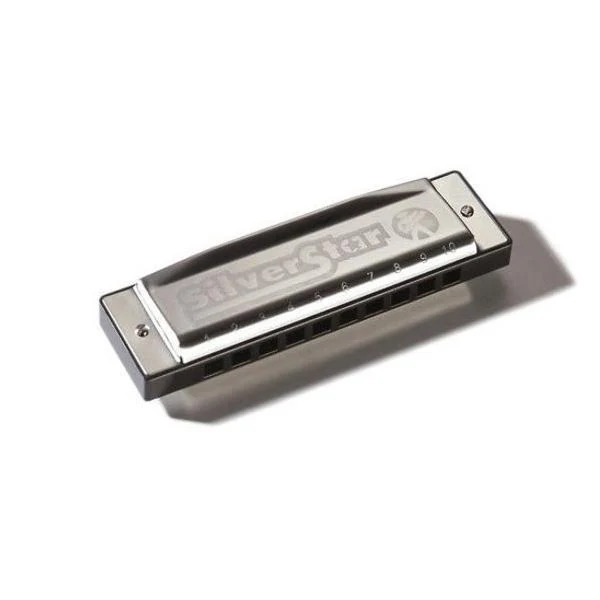 Hohner 504/20-C Silver Star Harmonica