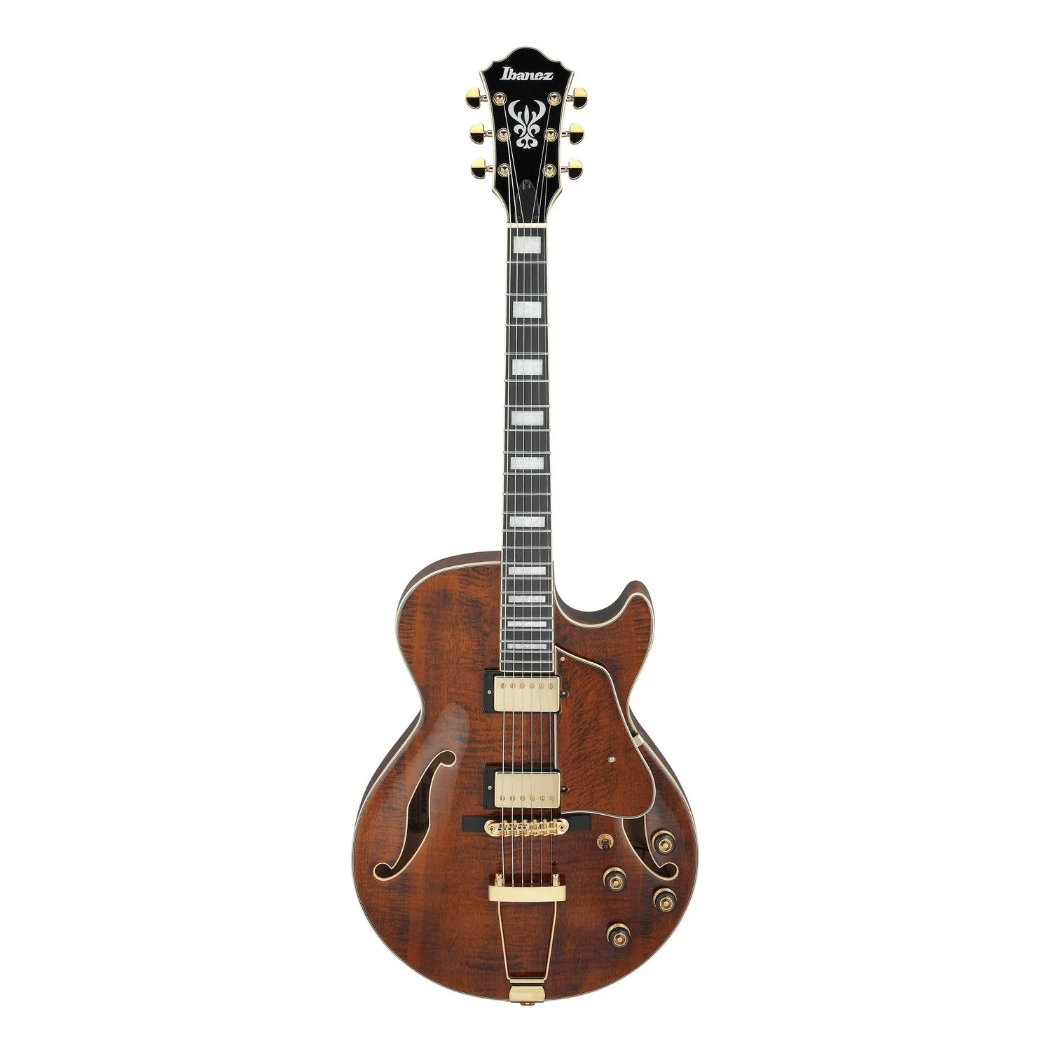 Ibanez AG95MG Artcore Expressionist Hollow Body 6 String Electric Guitar