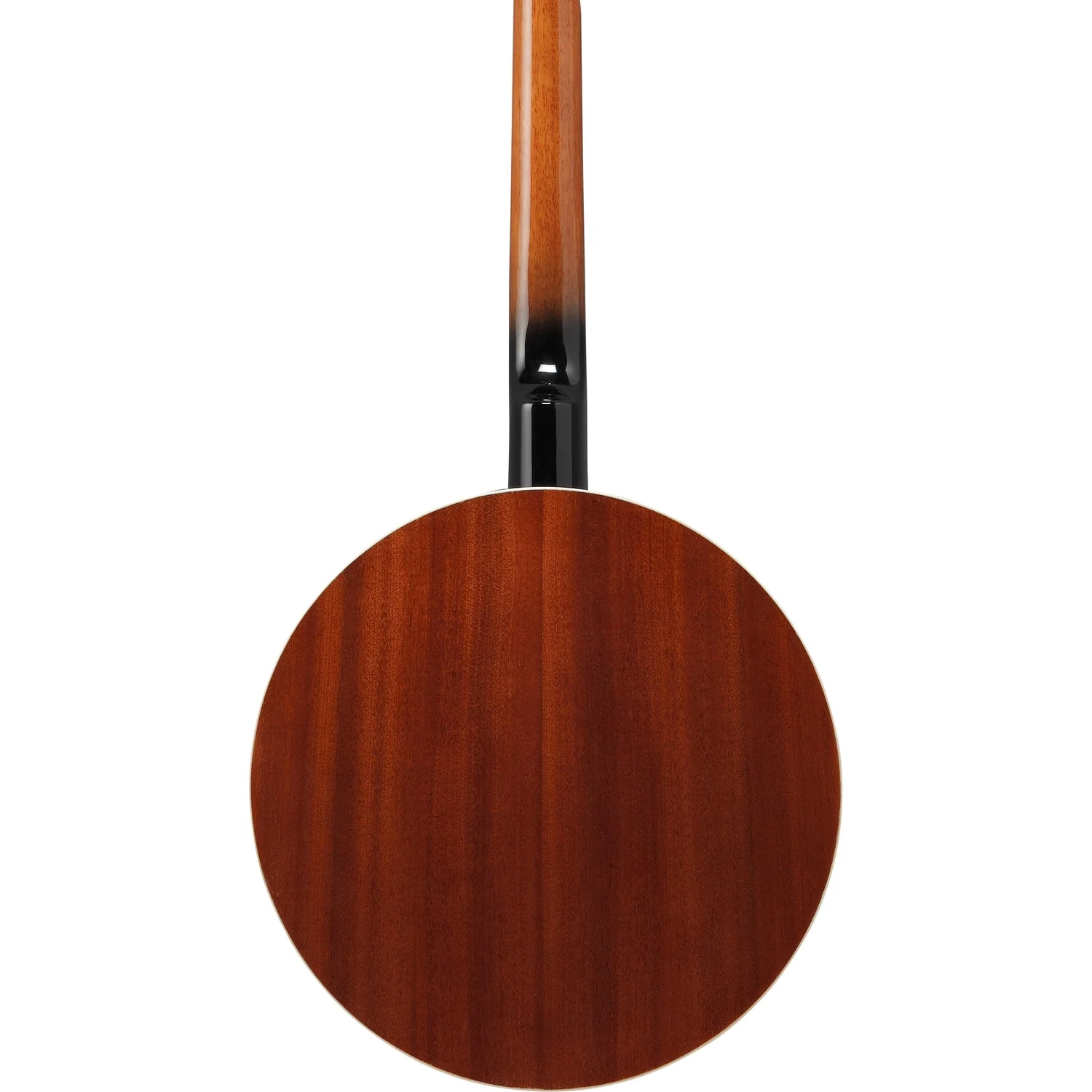 Ibanez Banjo B50 - Image 7