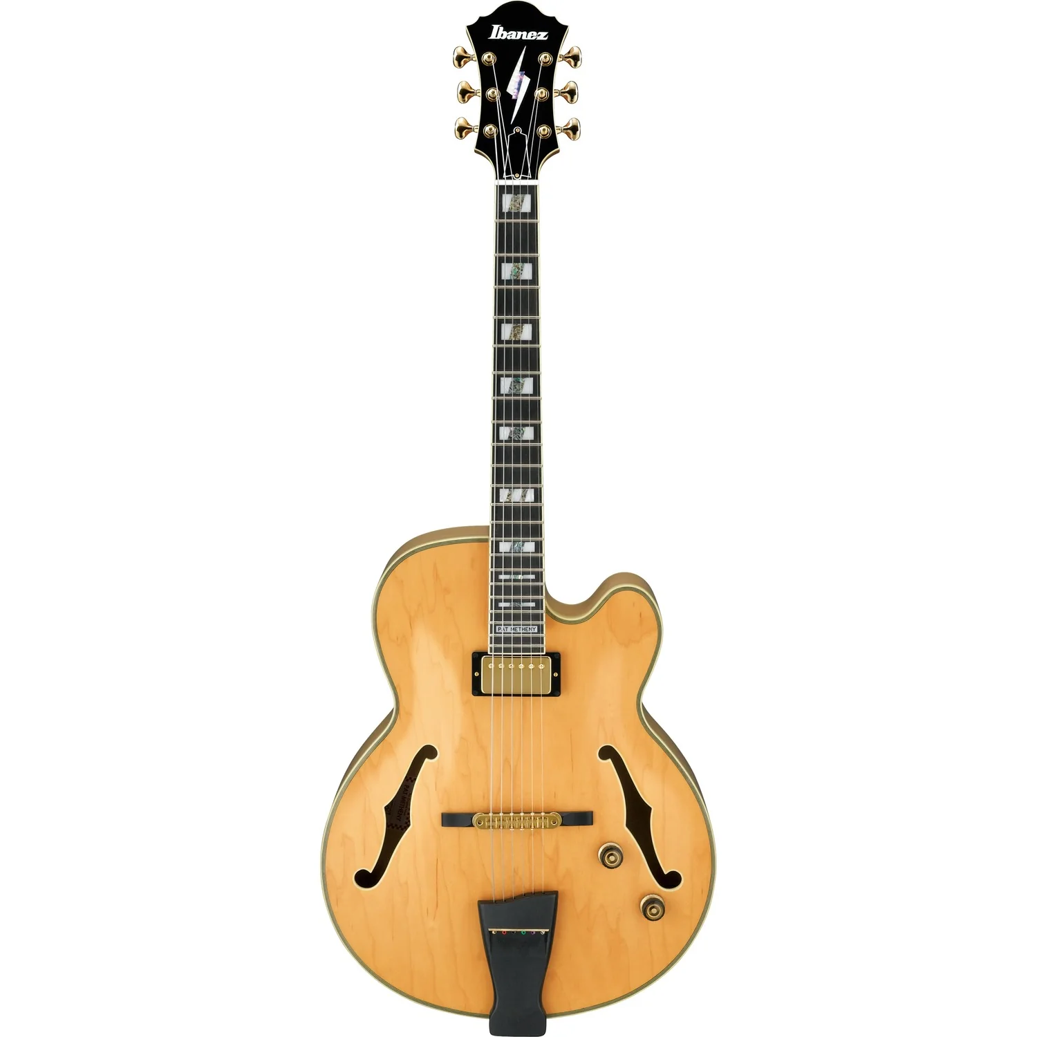 Ibanez PM200 Pat Metheny Signature Hollow Body 6 String Electric Guitar