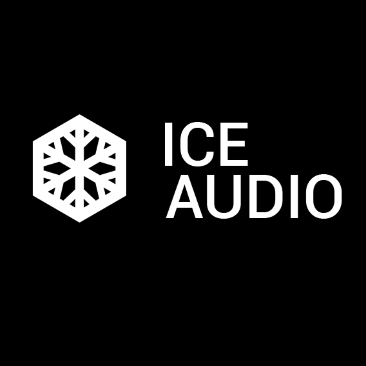 Ice Audio Punch Maker - Image 9