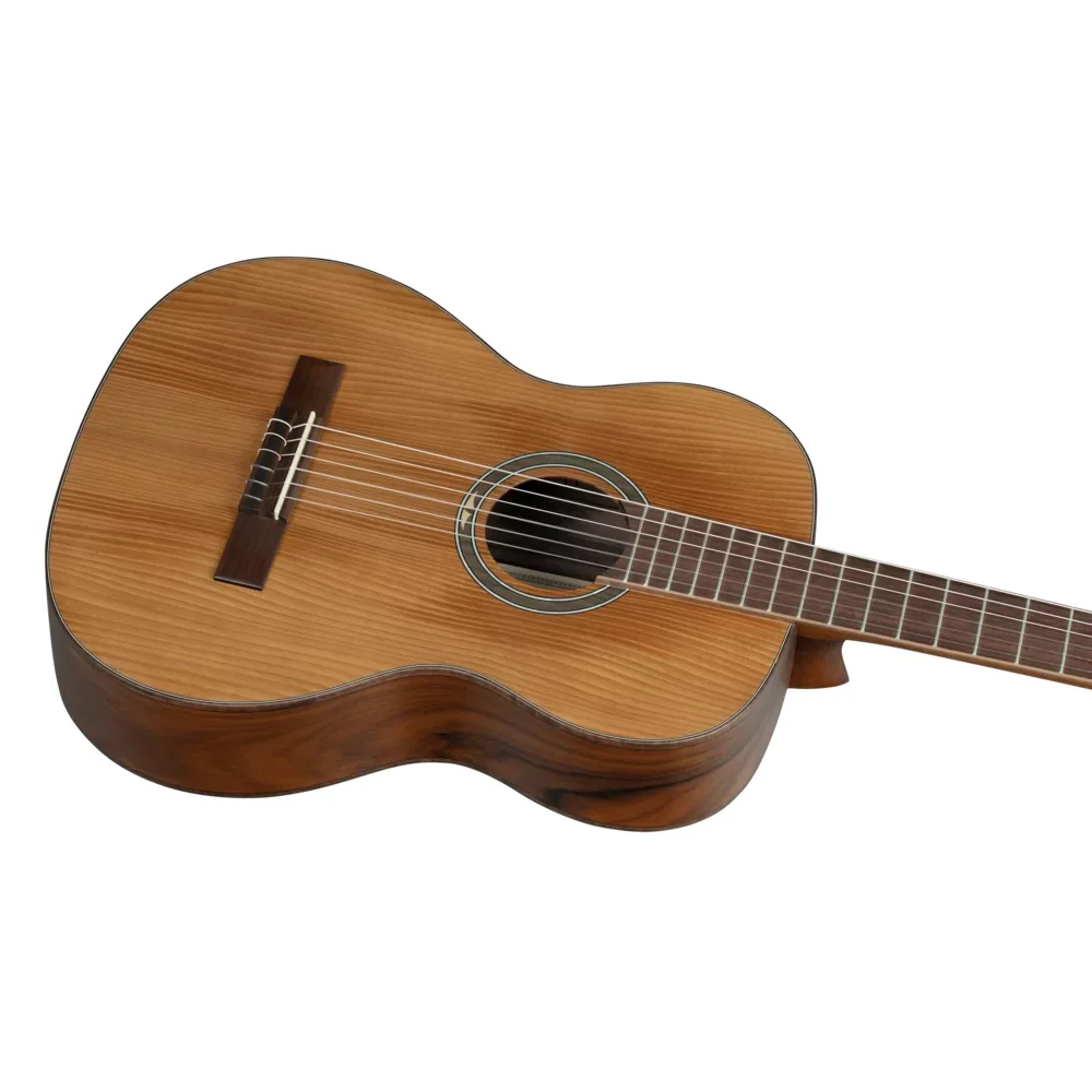 Ortega R23RO Thermo Series Acoustic Guitar with Bag - Image 8