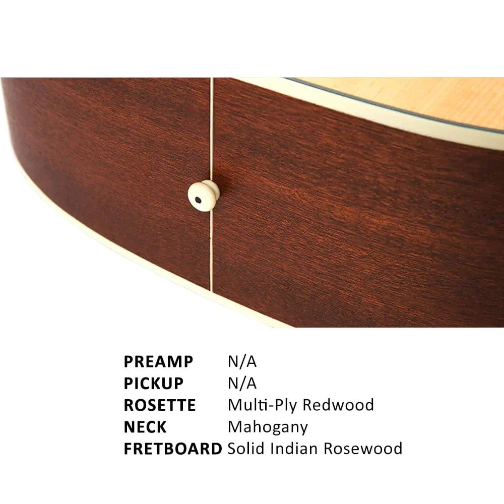 Parkwood S21 GT Dreadnought Acoustic Guitar with Gigbag - Image 4