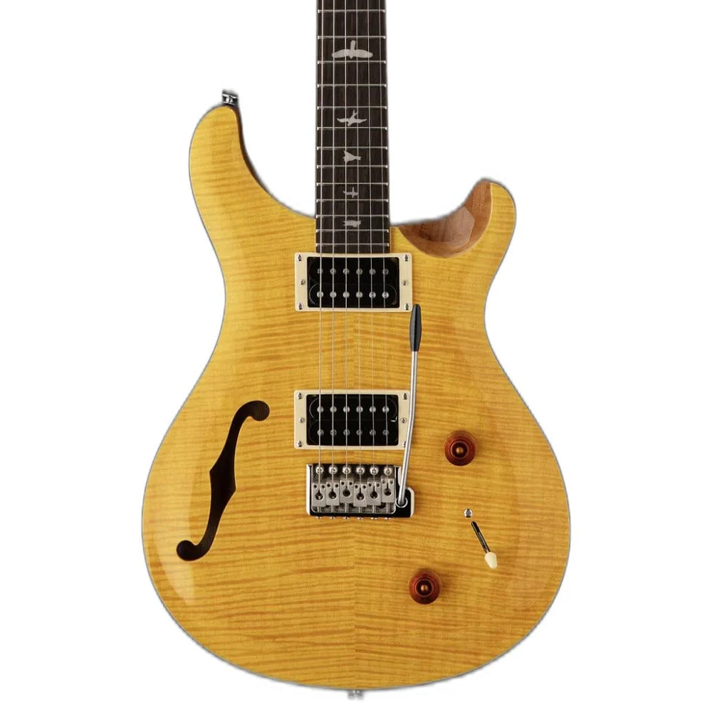 PRS SE Custom 22 Semi-Hollow 6 String Electric Guitar - Image 5