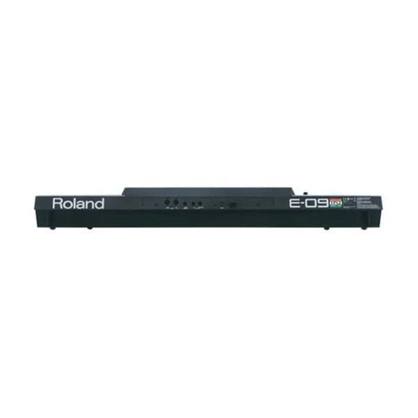 Roland E09IN Indian Edition Arranger Keyboard With Dust Cover, Stand, Pedal & Polishing Cloth - Image 4