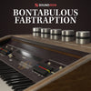 Soundiron Bontabulous Fabtraption - Image 2