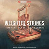 Soundiron Hopkin Instrumentarium: Weighted Strings - Image 2