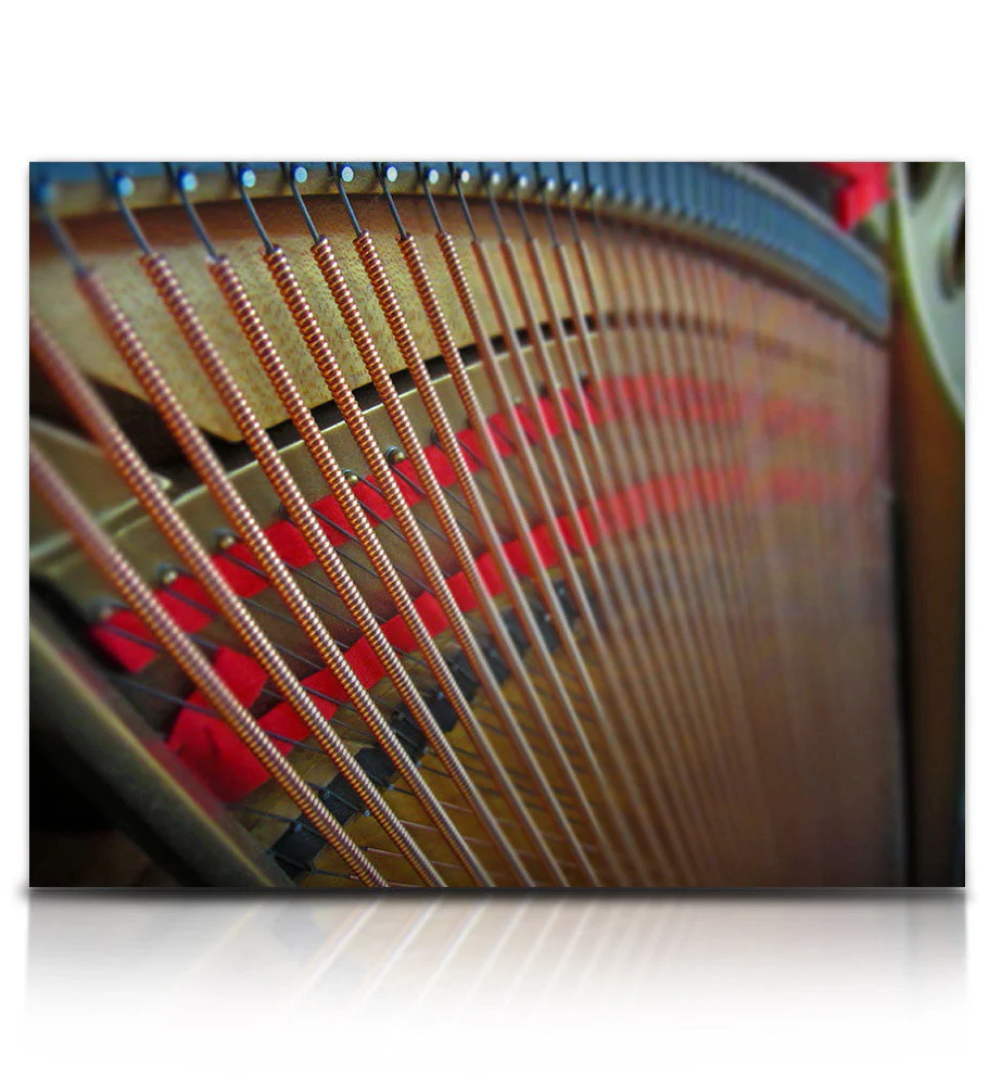 Soundiron Tone Morsels - Image 7