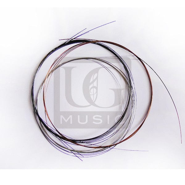 Ultimate Guru Gandhar Pancham Sitar String Set