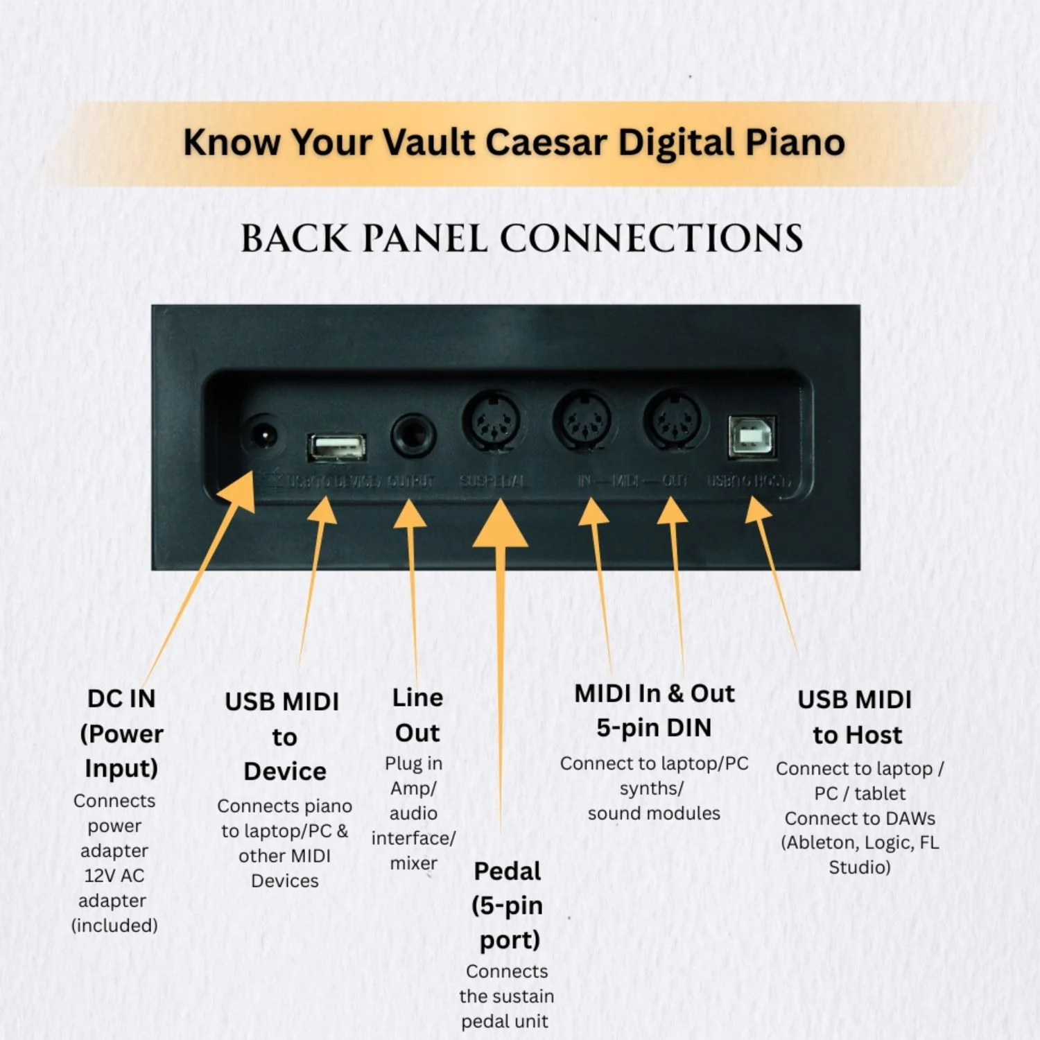 Vault Caesar MK2 88 Key Digital Piano - Image 30