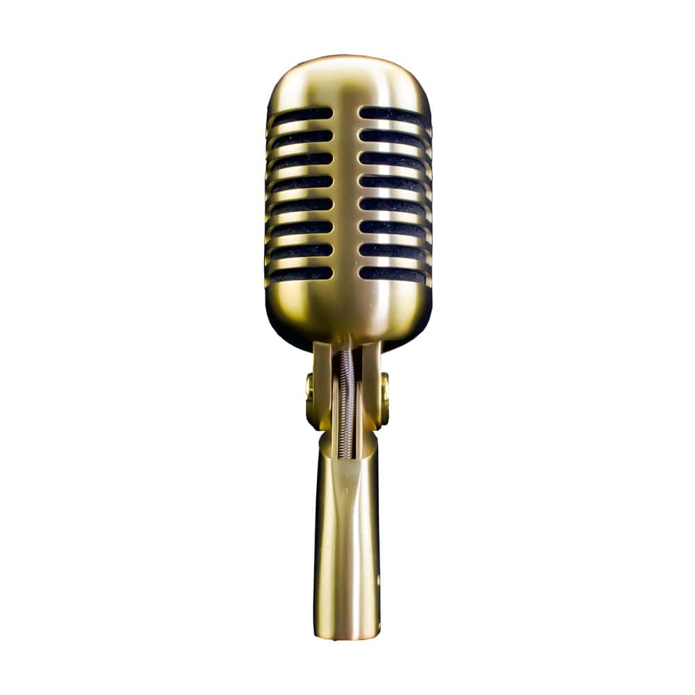Vault DCM-55S Dynamic Cardioid Microphone with Switch, Mic Clip, XLR cable and Case - Image 4