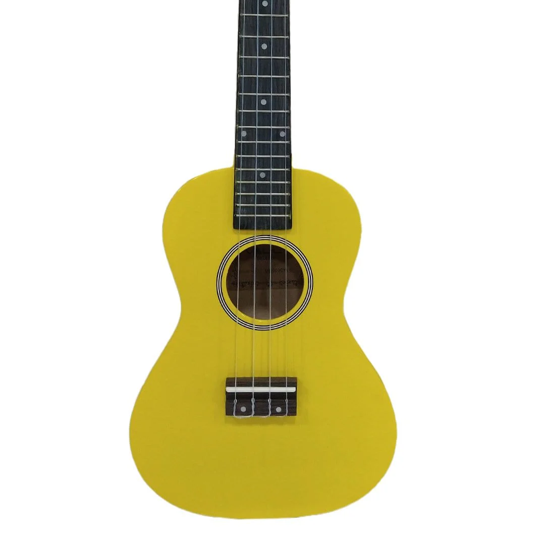 Vault UK-003 Concert Colourful 23-Inch Ukulele With Gig Bag, Tuner, Capo, Polishing Cloth & Ebook - Image 30